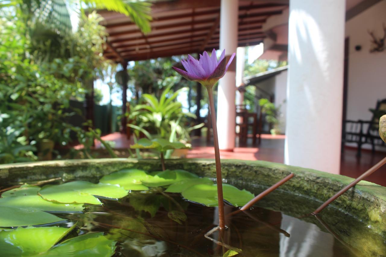 Julie Guest House Tangalle Exterior photo