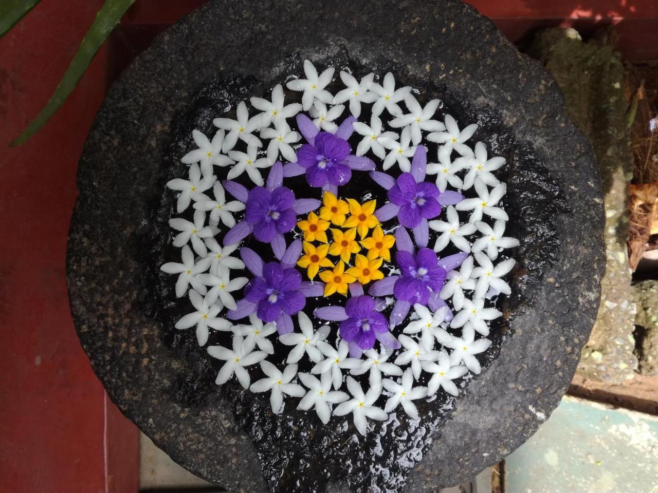 Julie Guest House Tangalle Exterior photo